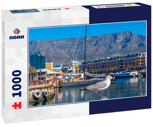 Seagull in Cape Town port and harbor with the Table Mountain in the background, Cape Town city, South Africa