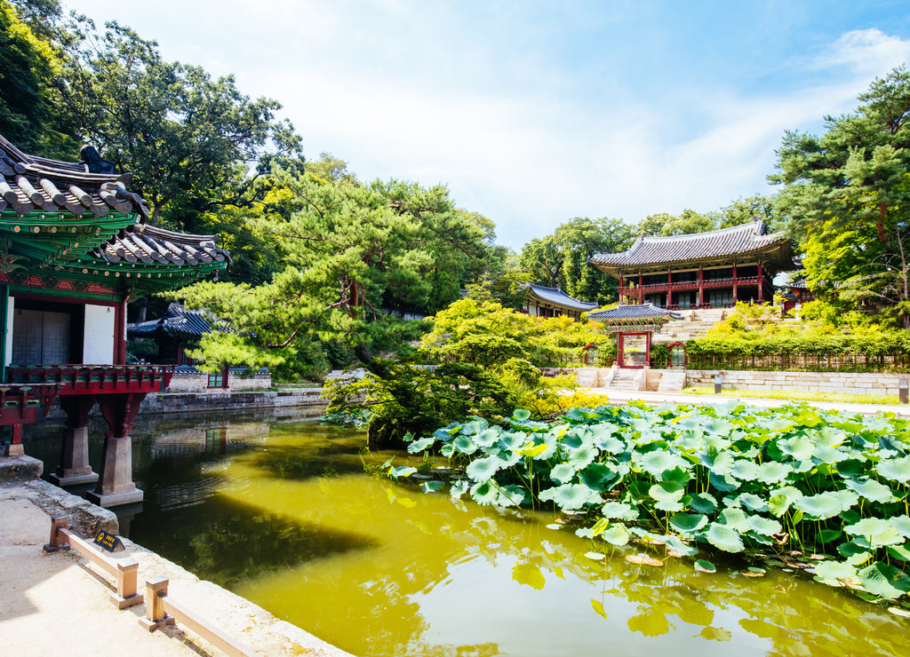 Changdeokgung Palace Secret Garden in South Korea