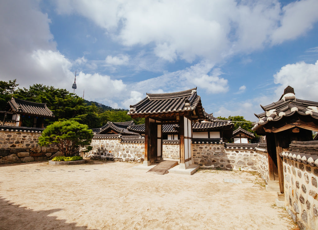 Namsangol Hanok Village in South Korea