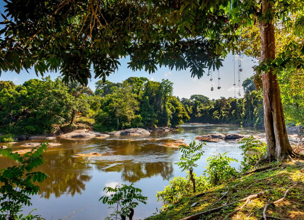 View on the Suriname river in Upper Suriname, Awarradam jungle camp