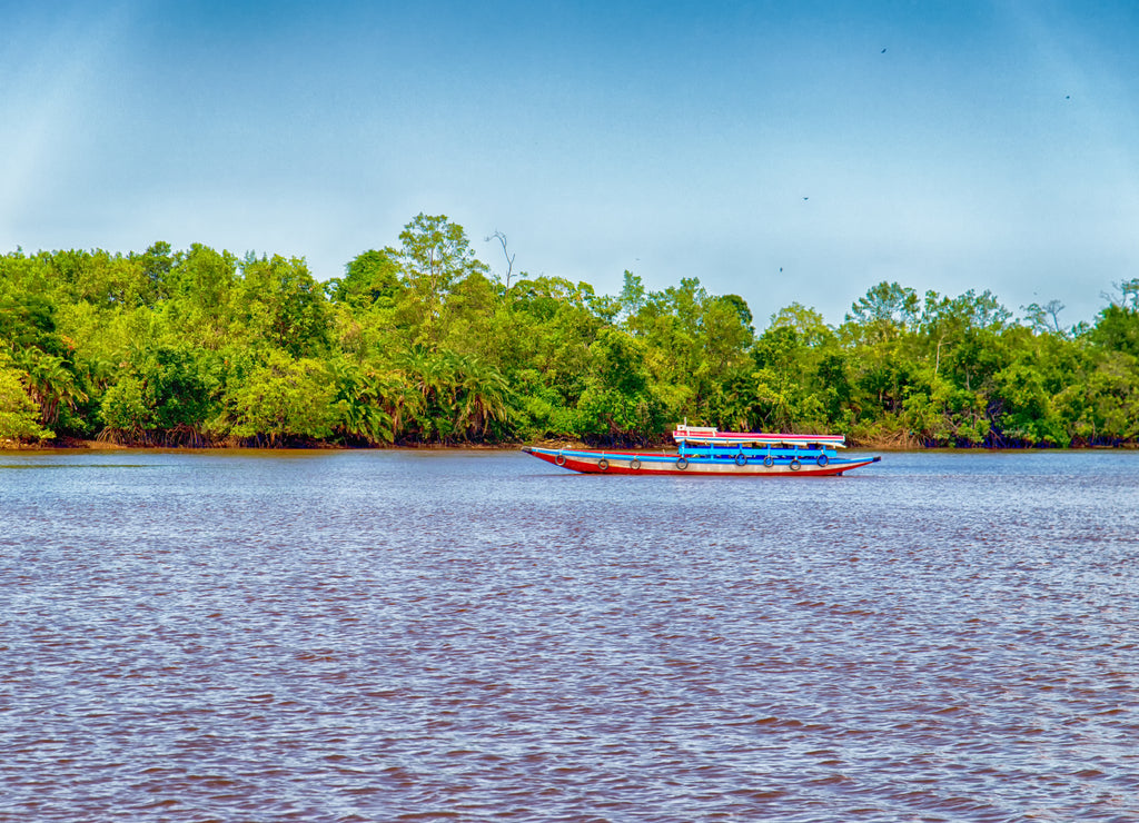 Suriname Boat
