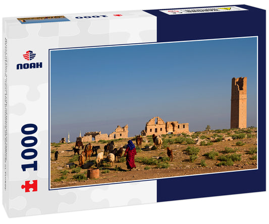 Ruins of the ancient city of Harran in upper Mesopotamia, near the province of Sanliurfa in Turkey