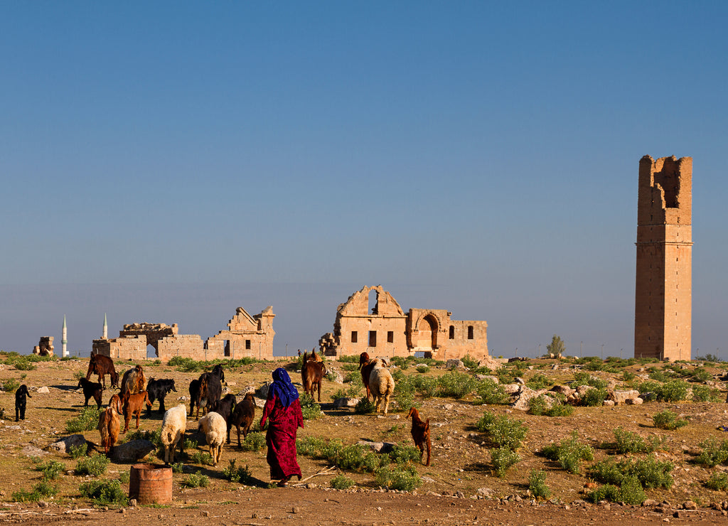 Ruins of the ancient city of Harran in upper Mesopotamia, near the province of Sanliurfa in Turkey
