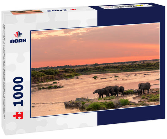 African bush elephant or African Elephant (Loxodonta africana crossing the Mara River. Serengeti National Park. Tanzania