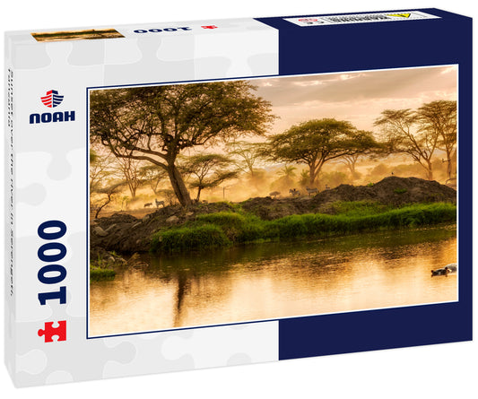 Sunset over the river in Serengeti, Tanzania