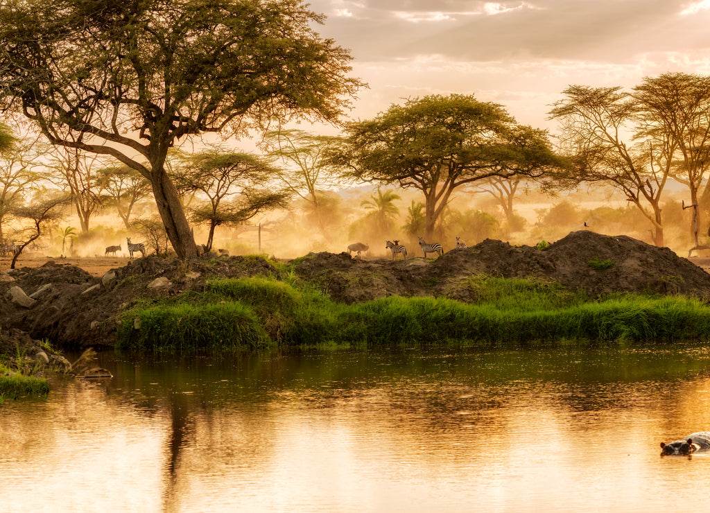 Sunset over the river in Serengeti, Tanzania