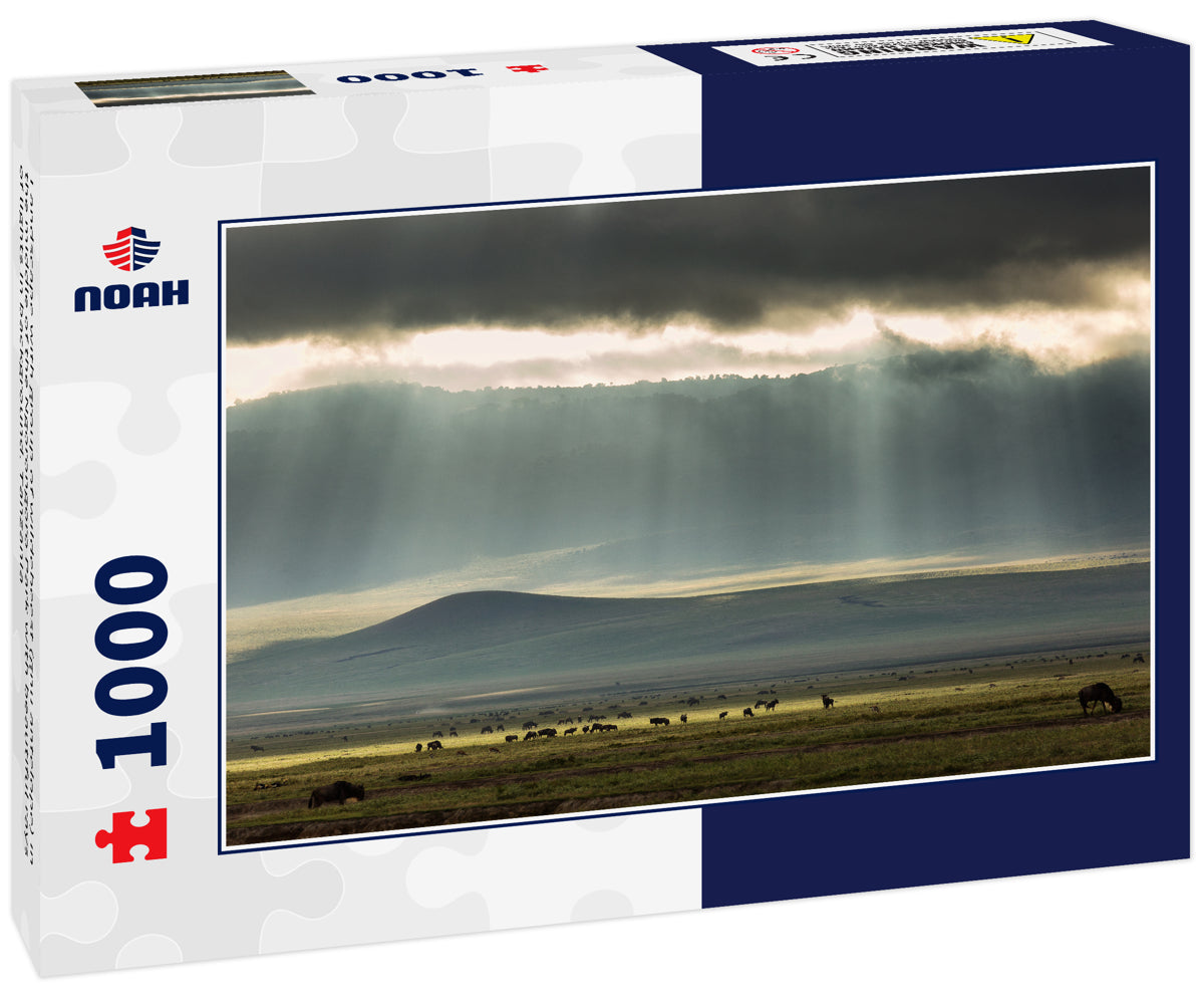 Landscape with group of wildebeest (gnu antelope) in the middle of the Ngorongoro Park with beautiful rays of lights in background. Tanzania