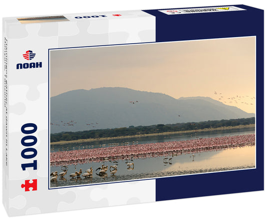 Flamingos gather at dawn in Lake Manyara, Tanzania