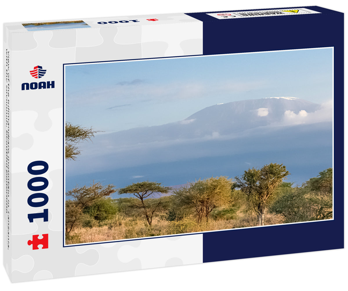 View of the Kilimandjaro mountain in Tanzania, with the savannah, beautiful panorama