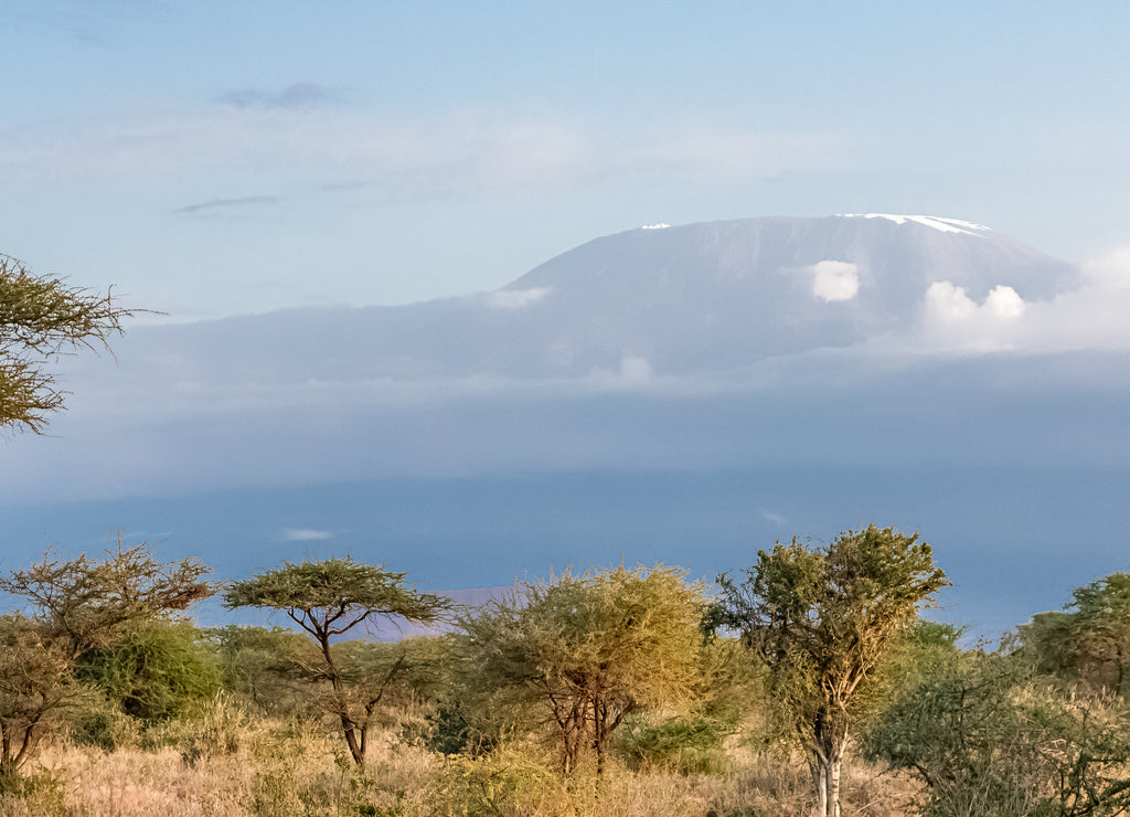 View of the Kilimandjaro mountain in Tanzania, with the savannah, beautiful panorama