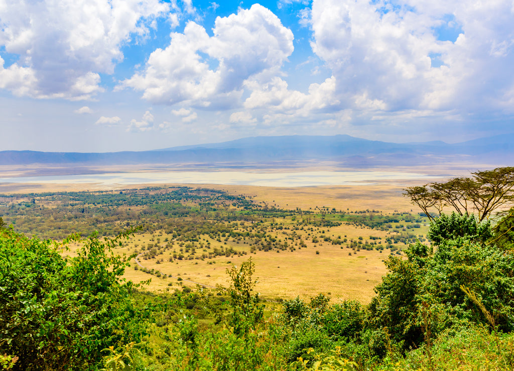 Panorama of Ngorongoro crater National Park with the Lake Magadi. Safari Tours in Savannah of Africa. Beautiful landscape scenery in Tanzania, Africa
