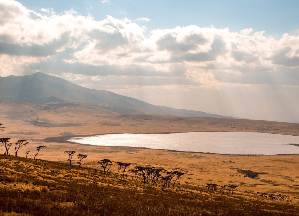 Game drive with Safari car in Serengeti National Park in beautiful landscape scenery, Tanzania, Africa