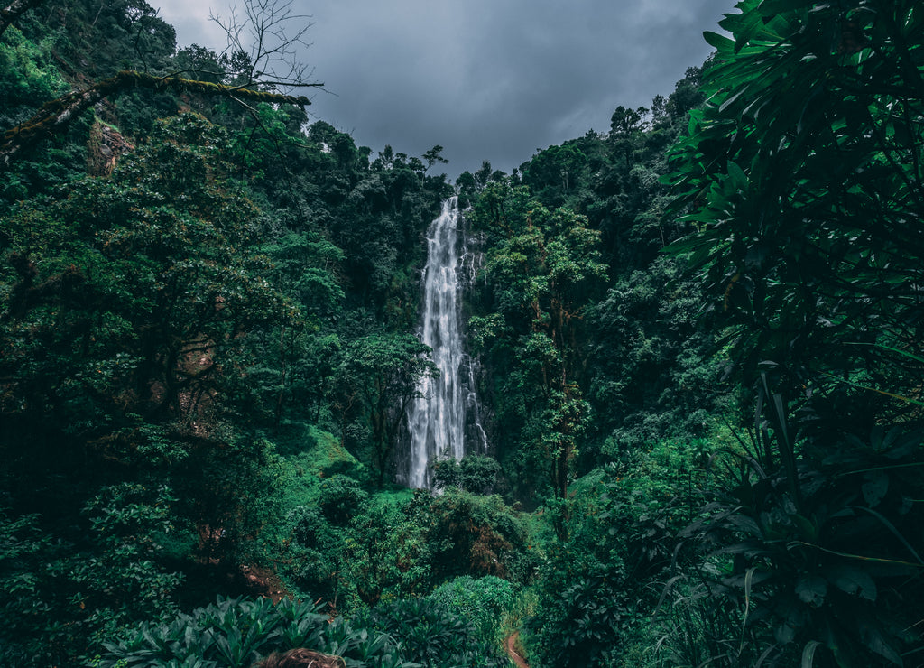Materuni Waterfall in the middle of a jungle in Tanzania