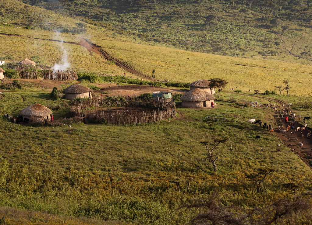 Traditional village of masai people in Ngorongoro National Park, Tanzania
