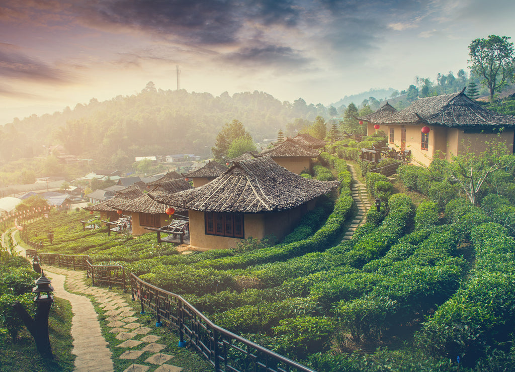 Sunrise at Lee wine Rak Thai,Ban Rak Thai a Chinese settlement, Mae Hong Son, Thailand