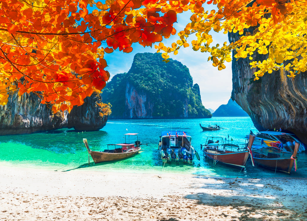 Beautiful nature scenic landscape sea beach in colorful autumn trees, Lao lading island Krabi, Travel in your dream Phuket Thailand