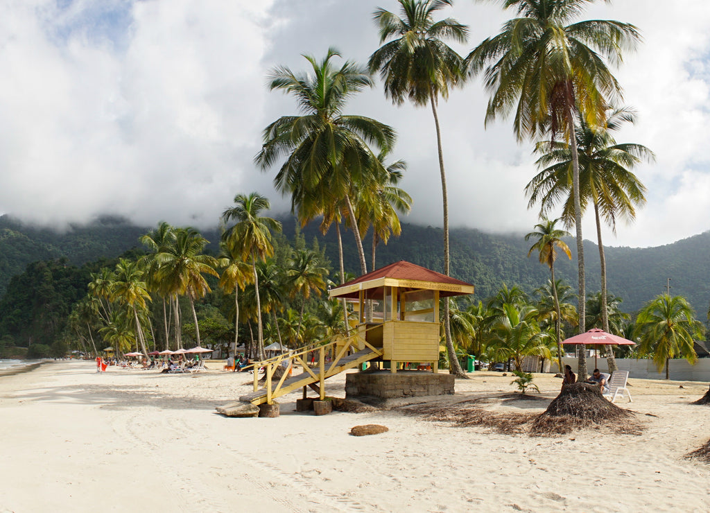 Ocean and Palm Trees at Maracas Beach in Trinidad and Tobago, Caribbean