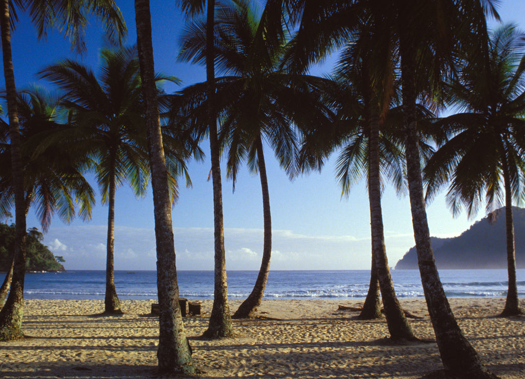 Maracas beach, trinidad