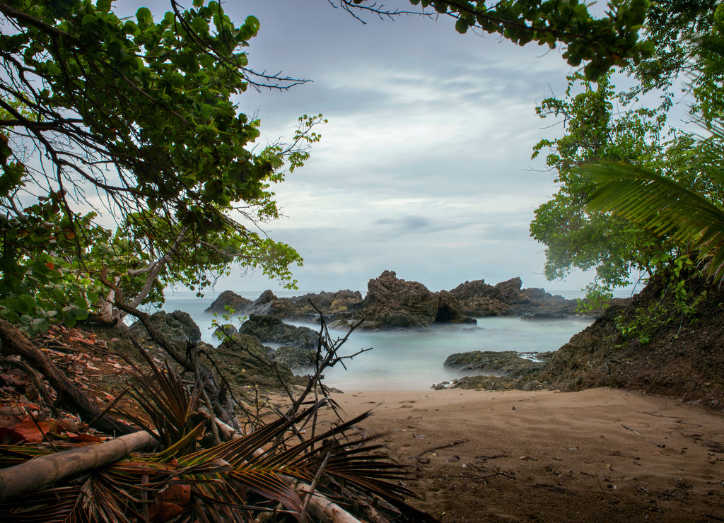 Mesmerizing view of a beautiful sandy beach in Caribbean Island Tobago, Trinidad