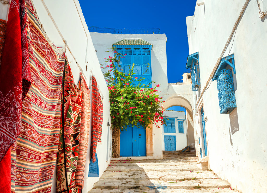Sidi Bou Said. Tunisia, North Africa