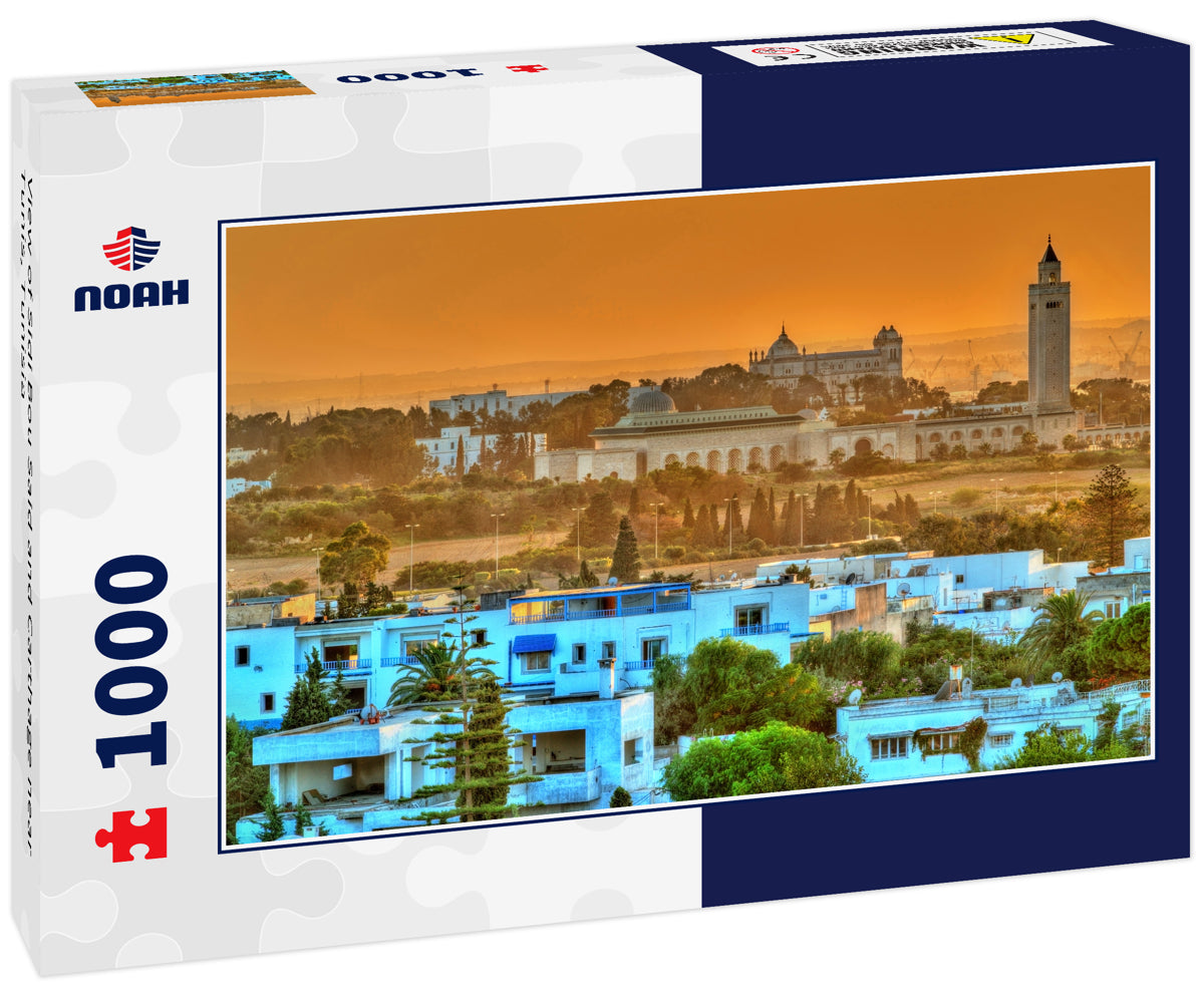 View of Sidi Bou Said and Carthage near Tunis, Tunisia