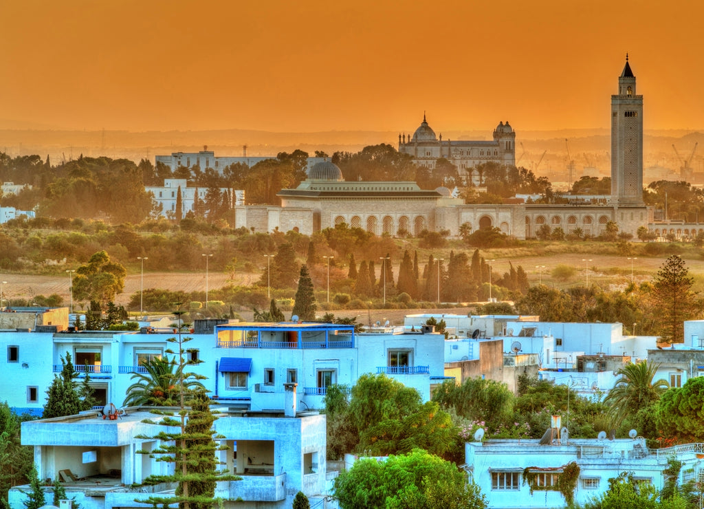 View of Sidi Bou Said and Carthage near Tunis, Tunisia