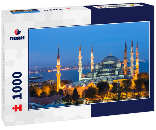 Aerial view of Blue Mosque in Istanbul at night