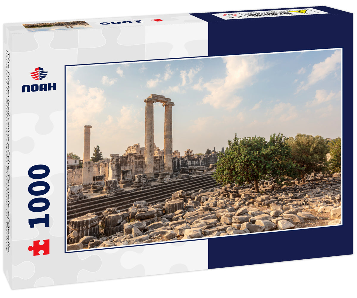 The historical ruins of the Temple of Apollo located in Didim at Aydn Province of Turkey