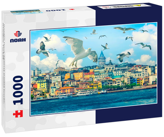 Golden Horn against Galata tower, Istanbul, Turkey