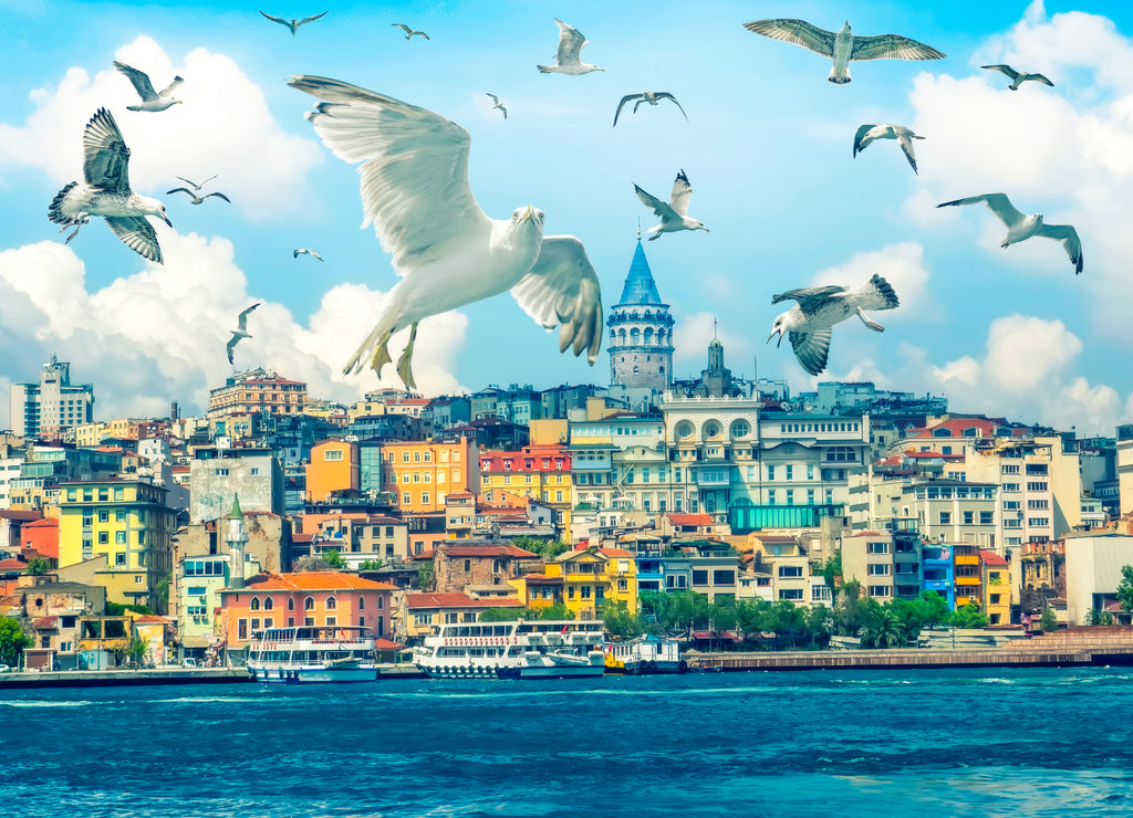 Golden Horn against Galata tower, Istanbul, Turkey