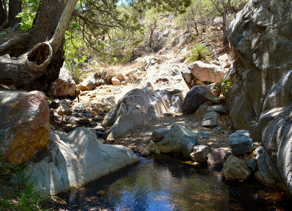 Madera Canyon Santa Rita Mountains Hiking Tucson Arizona