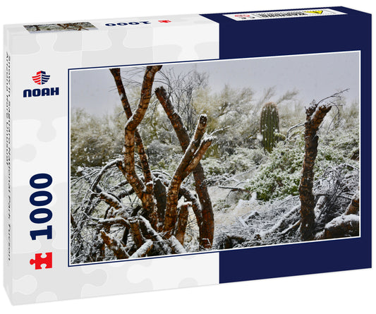 Snow in Saguaro National Park Tucson Arizona Rare Unusual