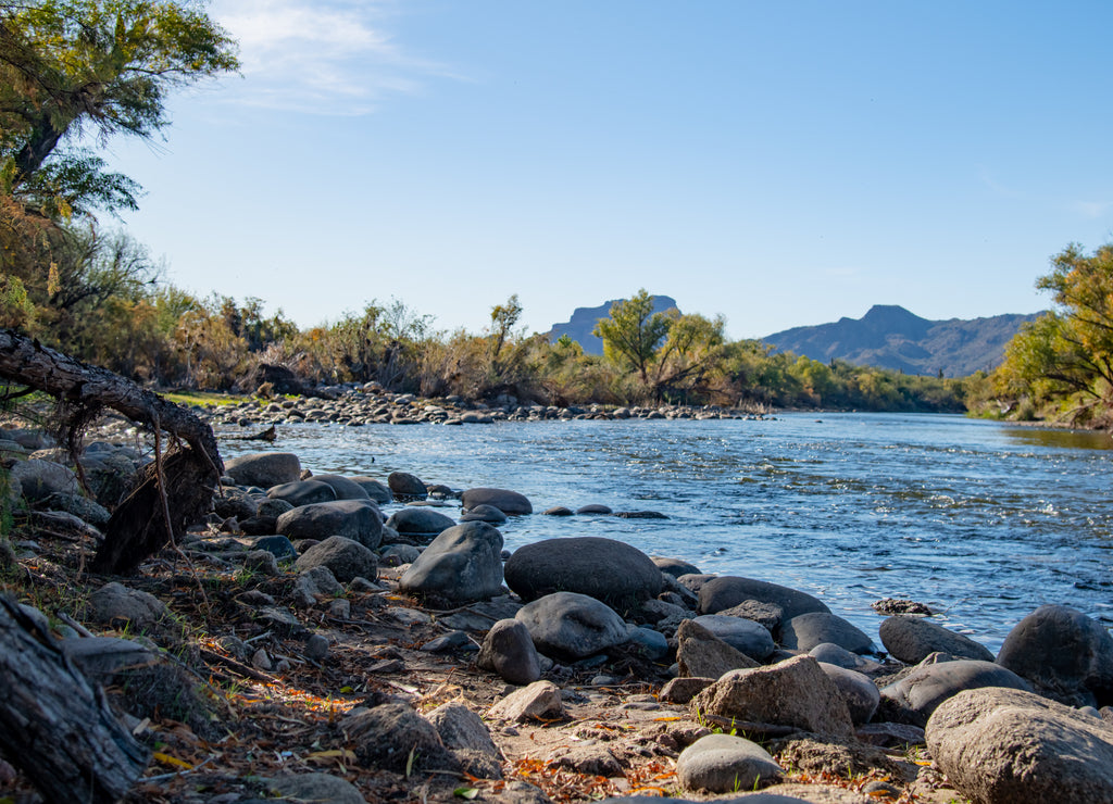 fall colors on the salt river near mesa Arizona