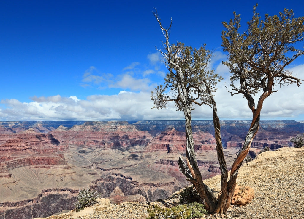 Grand Canyon landscape - Maricopa Point, Arizona