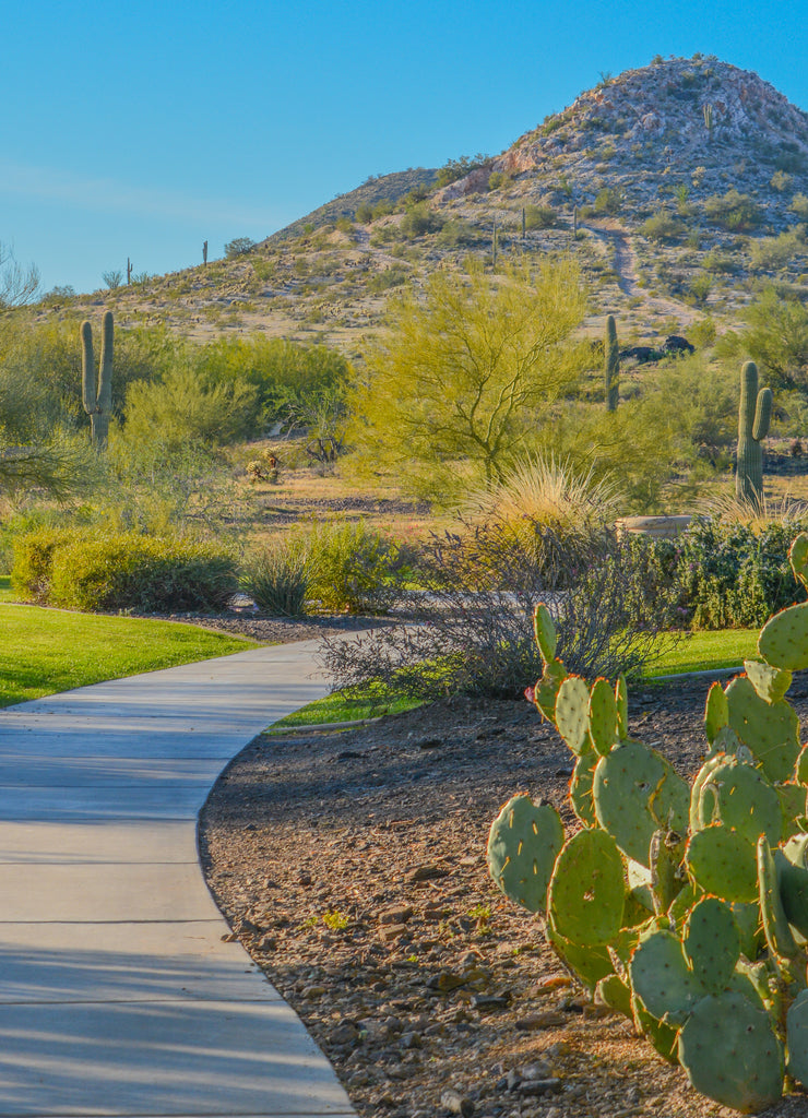 Discovery Trail in the Sonora Desert. Peoria, Maricopa County, Arizona USA