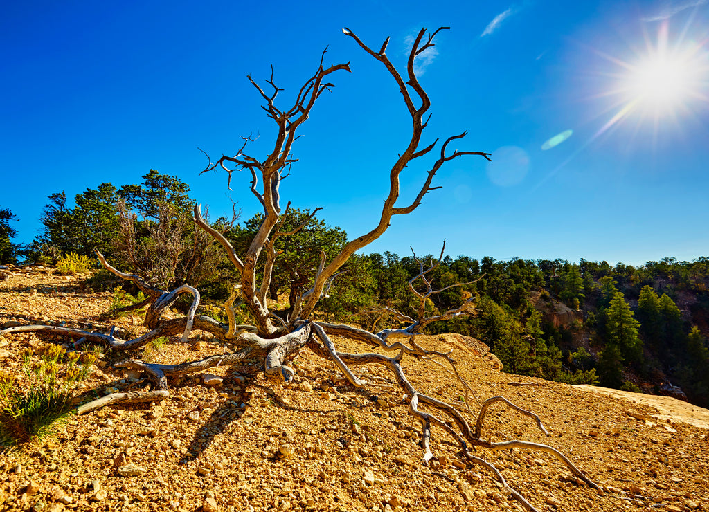 Grand Canyon, Maricopa Point, Arizona