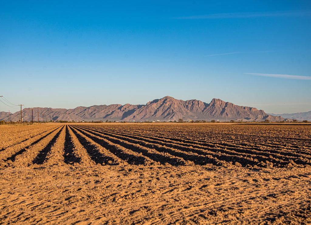 Eloy Arizona Mountains