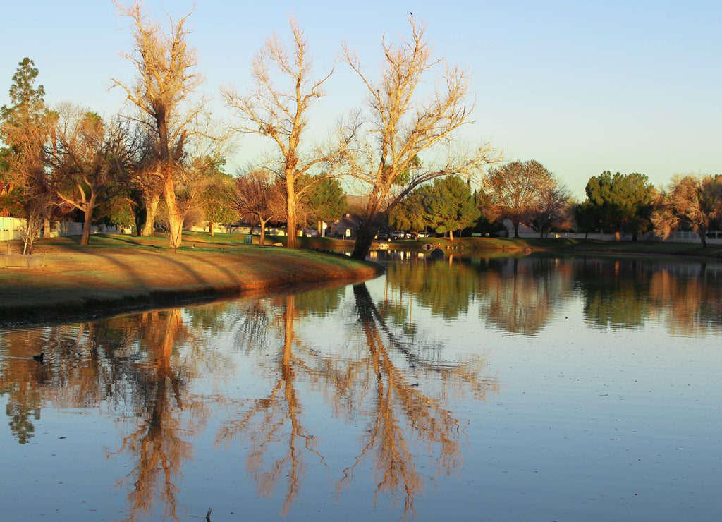Park in Chandler Arizona