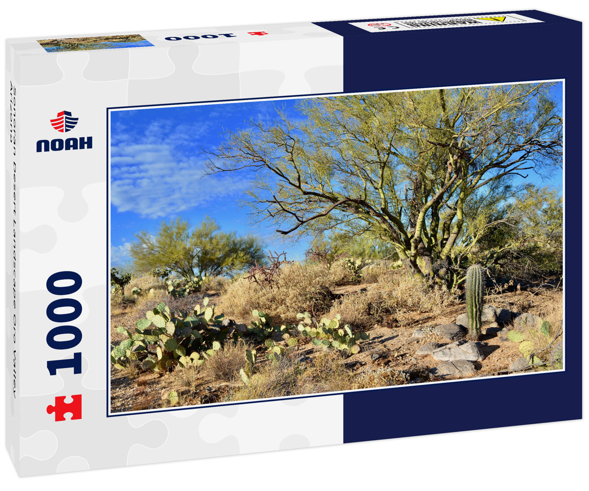 Sonoran Desert Landscape Oro Valley Arizona