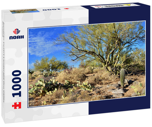 Sonoran Desert Landscape Oro Valley Arizona