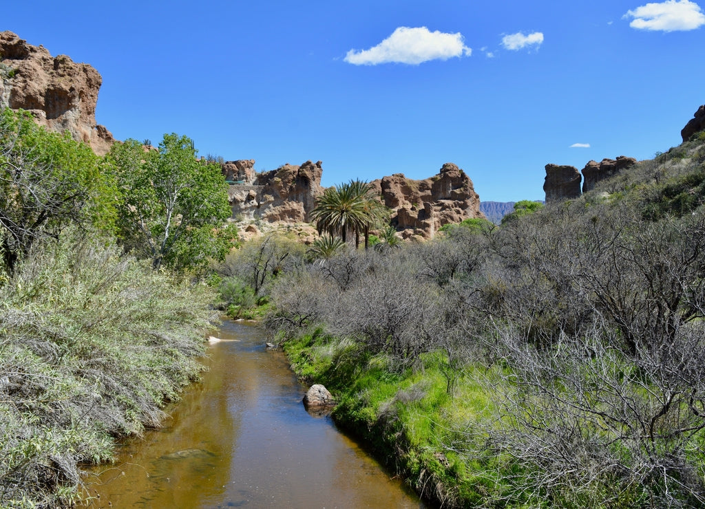 Queen creek at boyce thompson arboretum superior Arizona