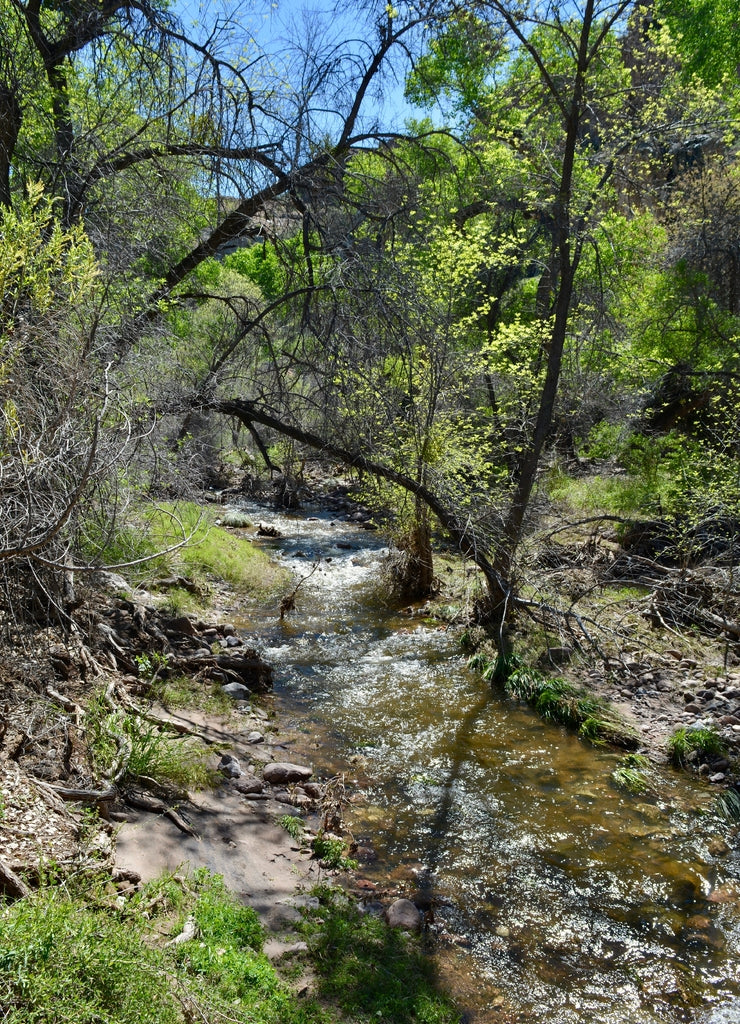 Queen creek at boyce thompson arboretum superior Arizona