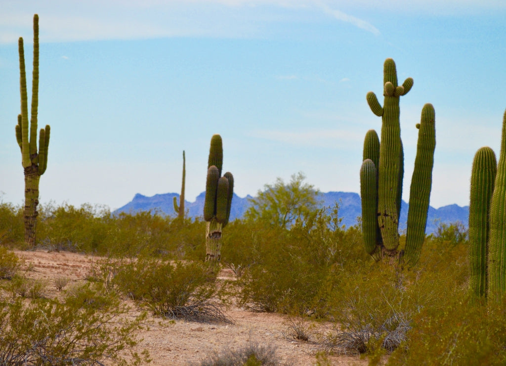 Queen Creek, Arizona