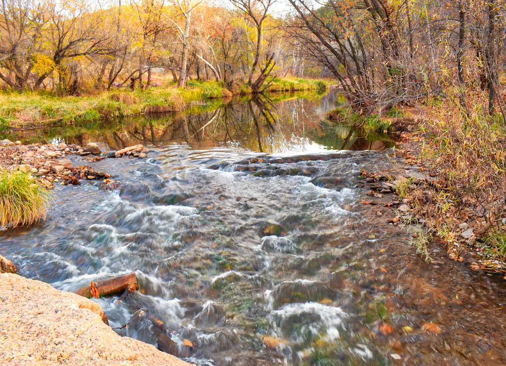 Payson Arizona Mountain Stream