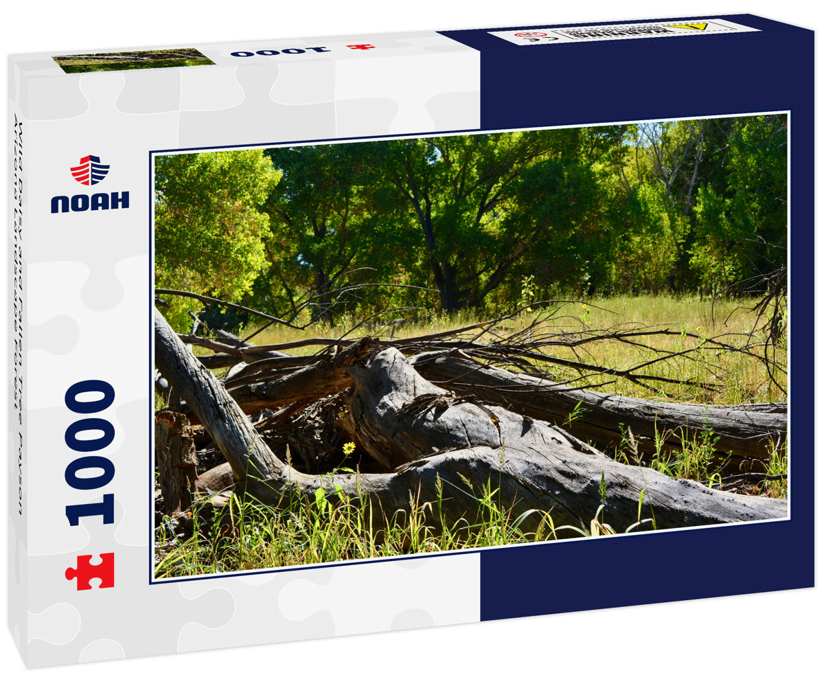 Wild Daisy and Fallen Tree Payson Arizona Landscape Forest