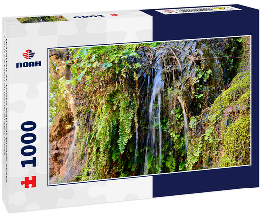 Waterfall at Tonto Natural Bridge State Park Payson Arizona Green Moss