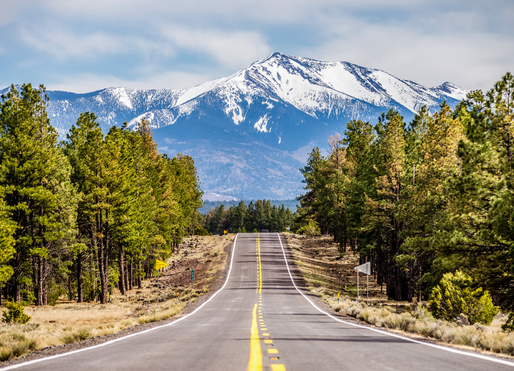 Landscape with Humphreys Peak in Arizona