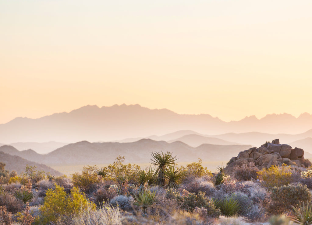 Arizona landscapes