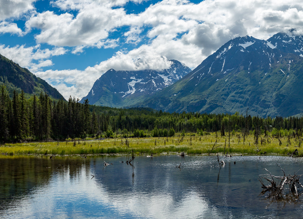 Eagle River Nature Center in Alaska