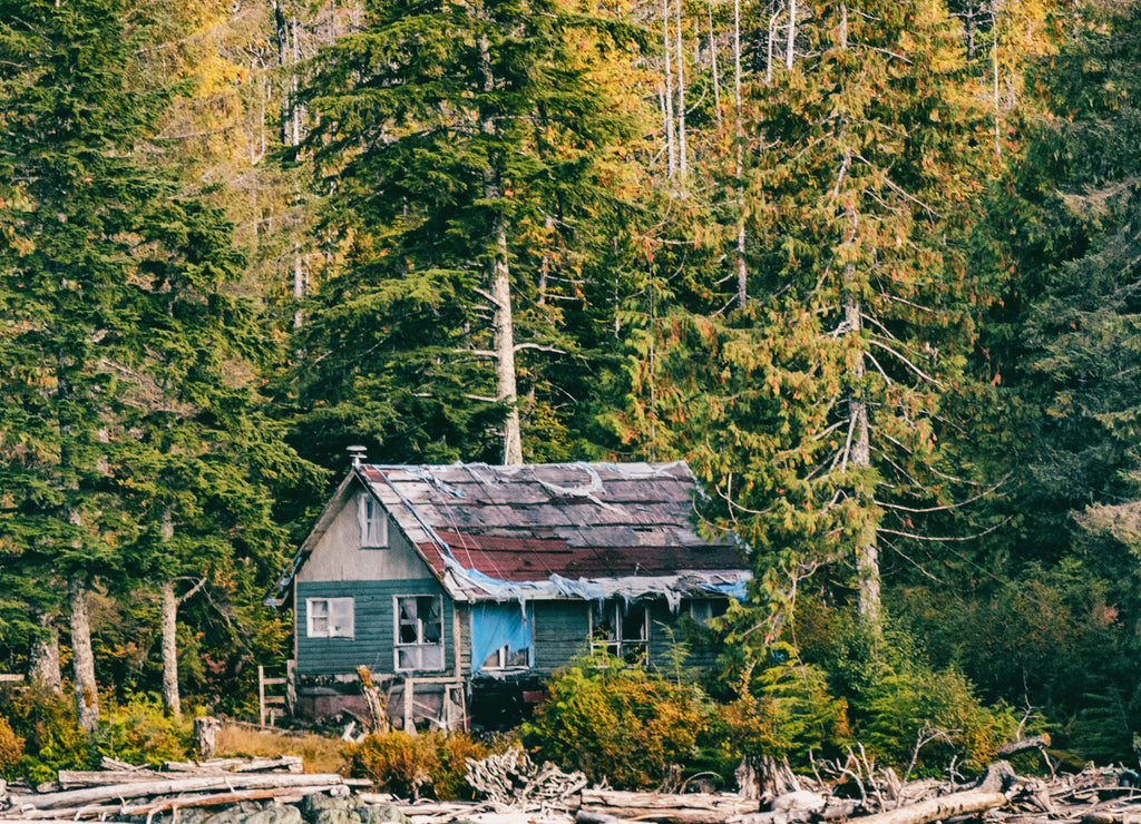 Abandoned house in the forest wilderness - Alaska landscape background panorama banner